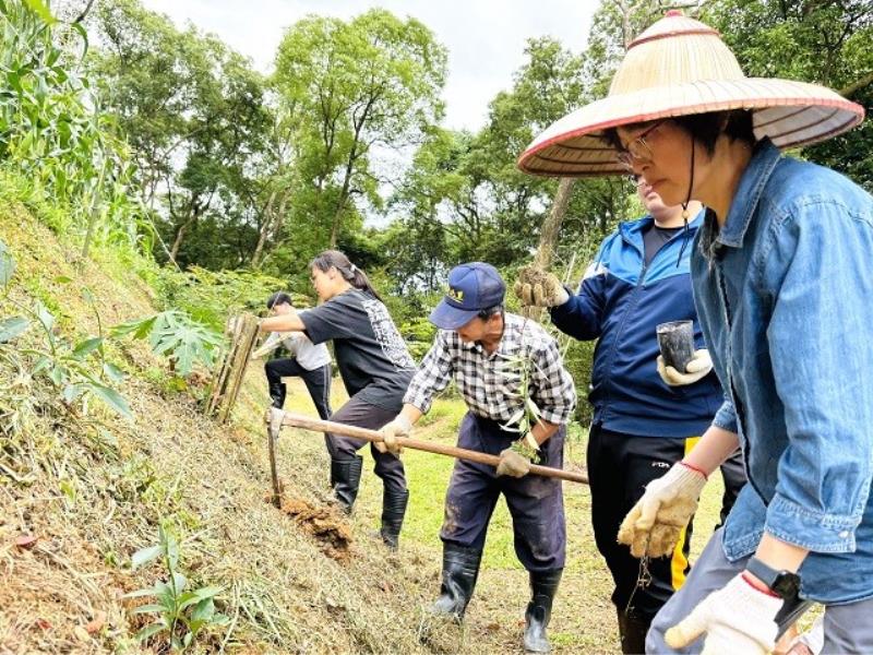 中華大學執行USR計畫種下「希望樹」 協助新埔棄耕茶園再生！