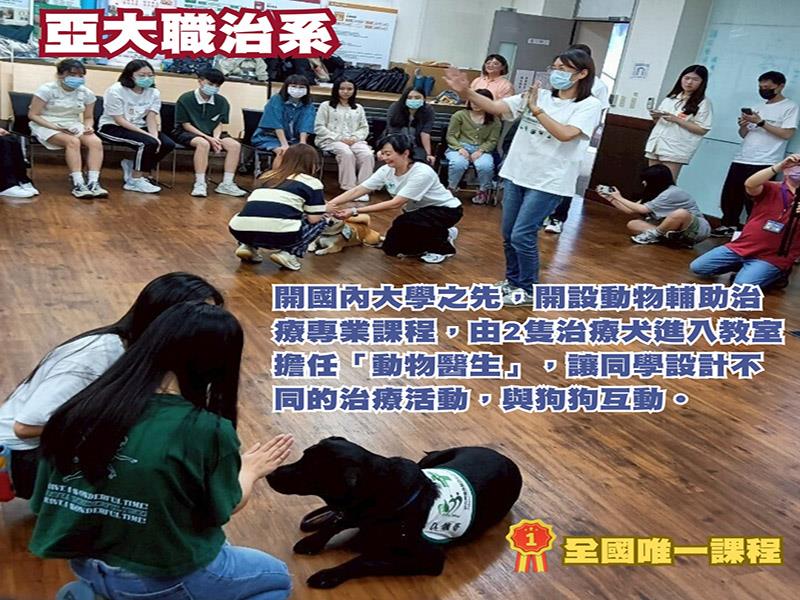 亞洲大學職治系，「全國唯一」引進治療犬一起上課
